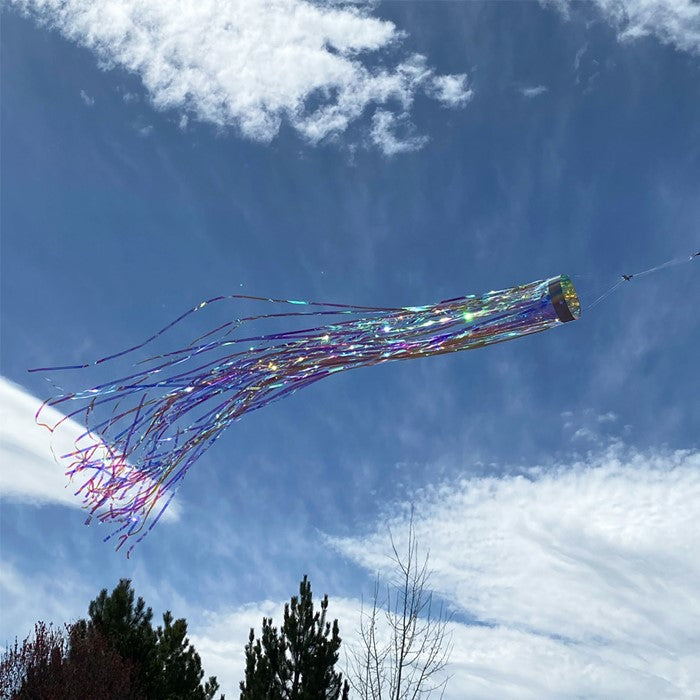 Iridescent Holographic Mylar Windsock